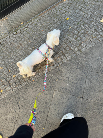 Hundegeschirr Ethnic-Vibrance